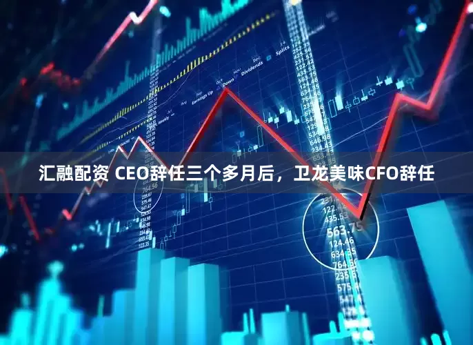 汇融配资 CEO辞任三个多月后，卫龙美味CFO辞任